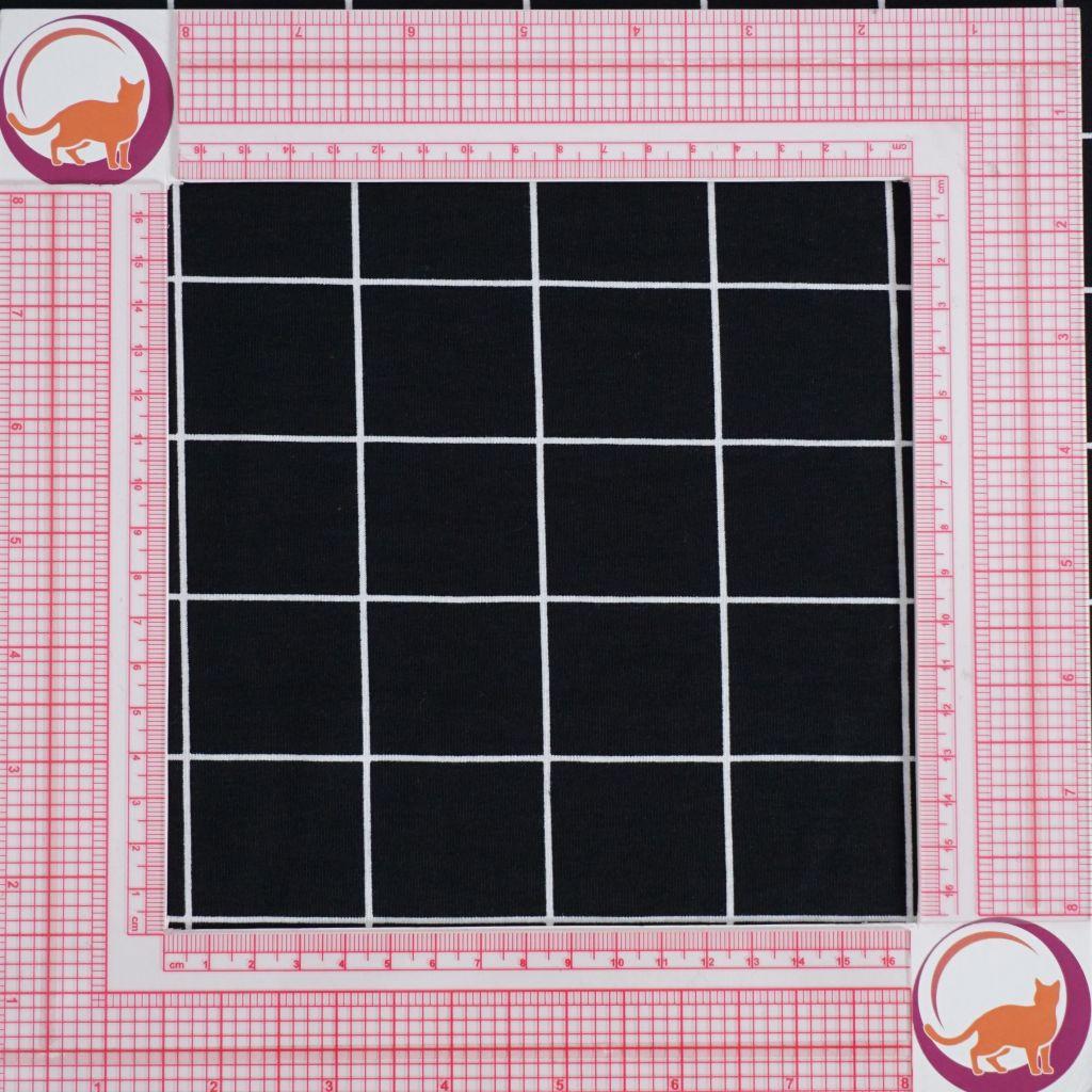Preview: Baumwolljersey Quadrate Karolinien Squares schwarz weiß